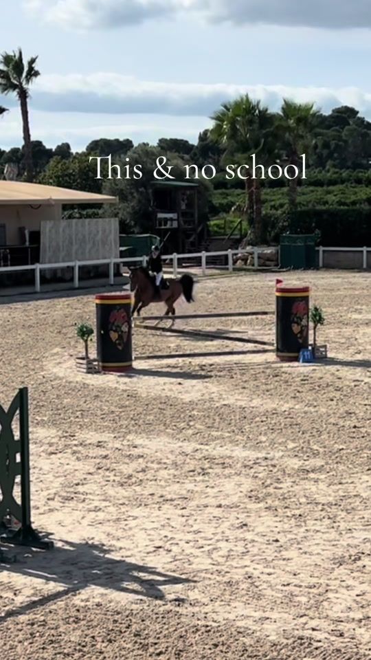 TikTok video thumbnail by larisa_showjumping