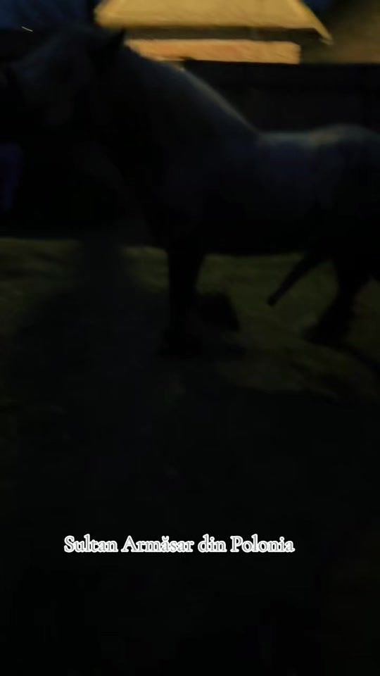 TikTok video thumbnail by _agro.farm_