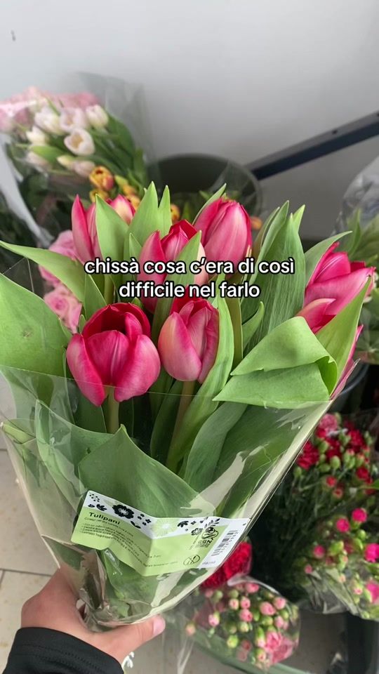 TikTok video thumbnail by sofi.cappellano
