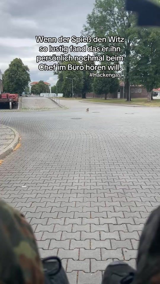 TikTok video thumbnail by su.jaylin