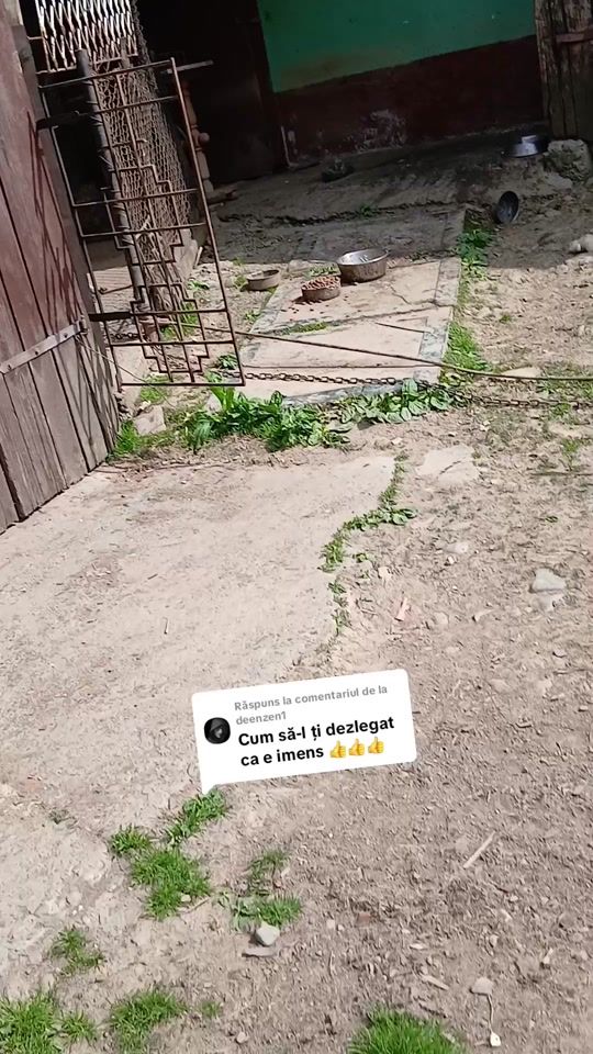 TikTok video thumbnail by pop_cornel3
