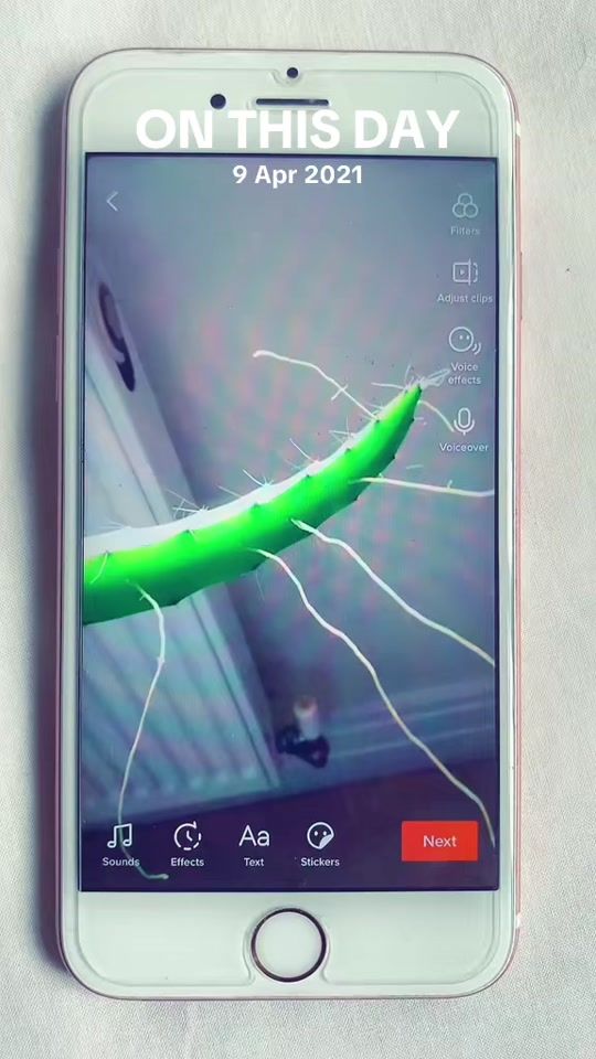 TikTok video thumbnail by bing_44