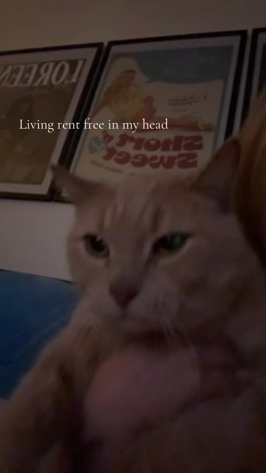 TikTok video thumbnail by natachasophieeee