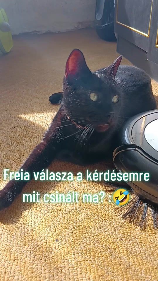 TikTok video thumbnail by freya20228