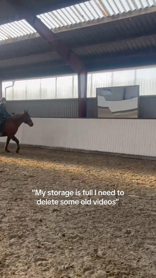 TikTok video thumbnail by equestrian_cecilie