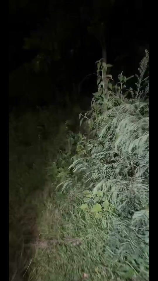 TikTok video thumbnail by kev_brige_uk