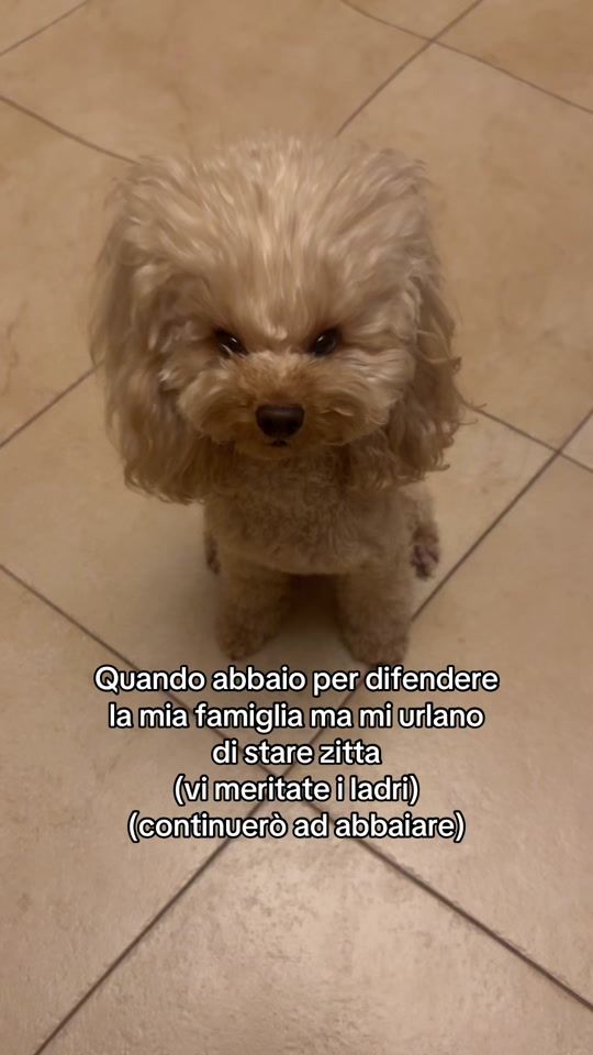 TikTok video thumbnail by _rebeexe_