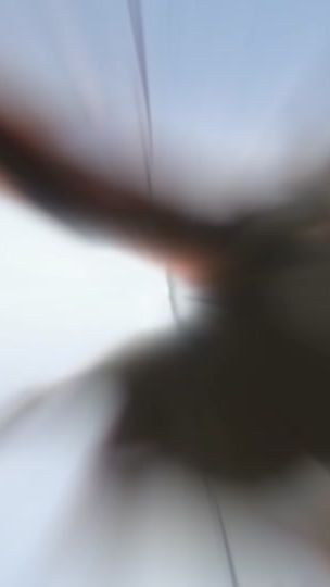 TikTok video thumbnail by fosied.edits