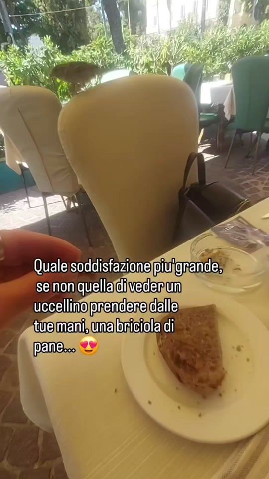 TikTok video thumbnail by alexmaggiore088