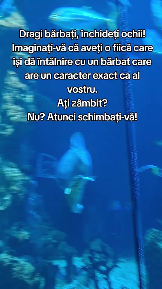 TikTok video thumbnail by lr.ana.8