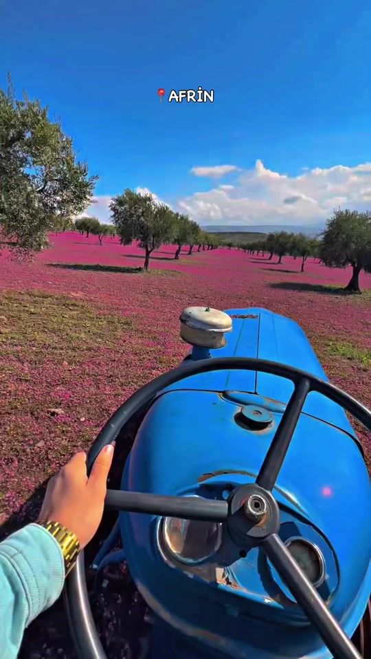 TikTok video thumbnail by yousef____03