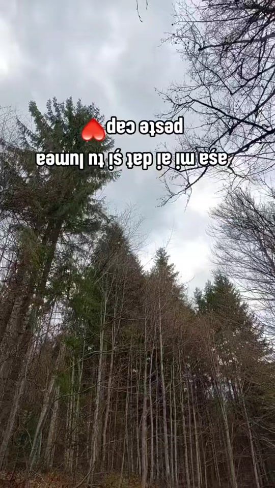 TikTok video thumbnail by ionut_2718