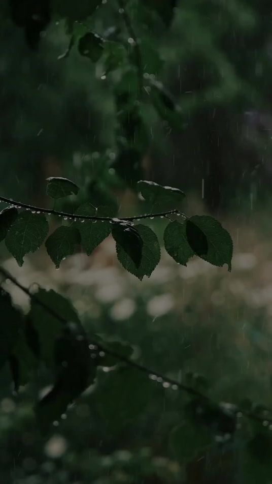 TikTok video thumbnail by sahypa_sahypa