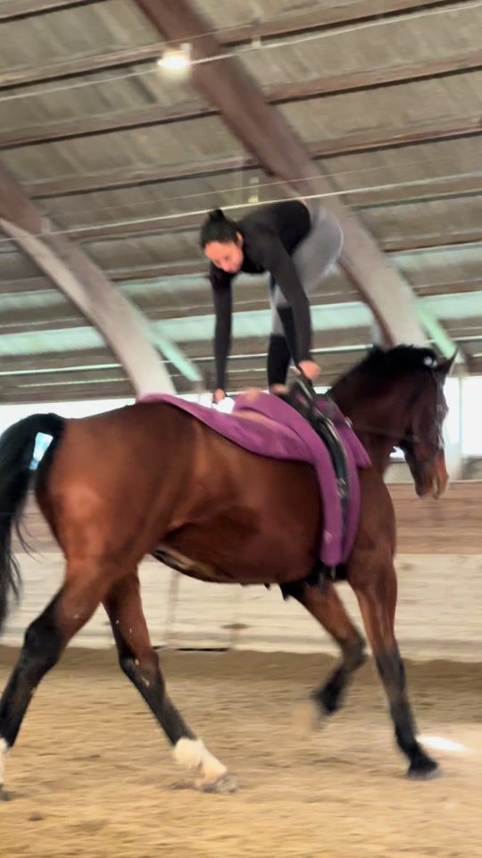 TikTok video thumbnail by amandastaalsoe