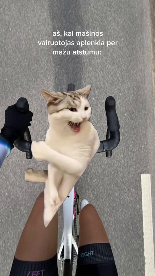 TikTok video thumbnail by stridesisters.lt