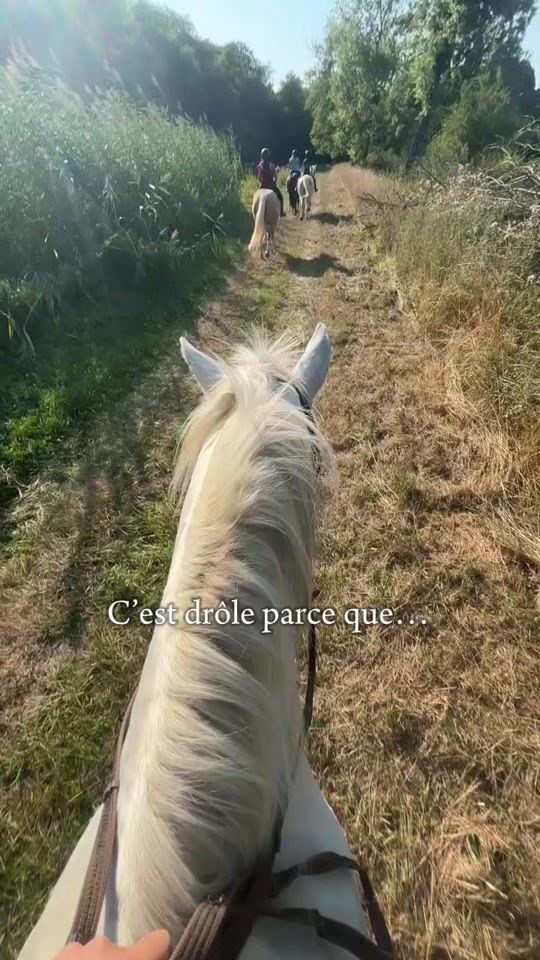 TikTok video thumbnail by lisette8022