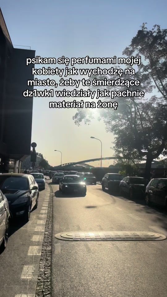 TikTok video thumbnail by n0molk