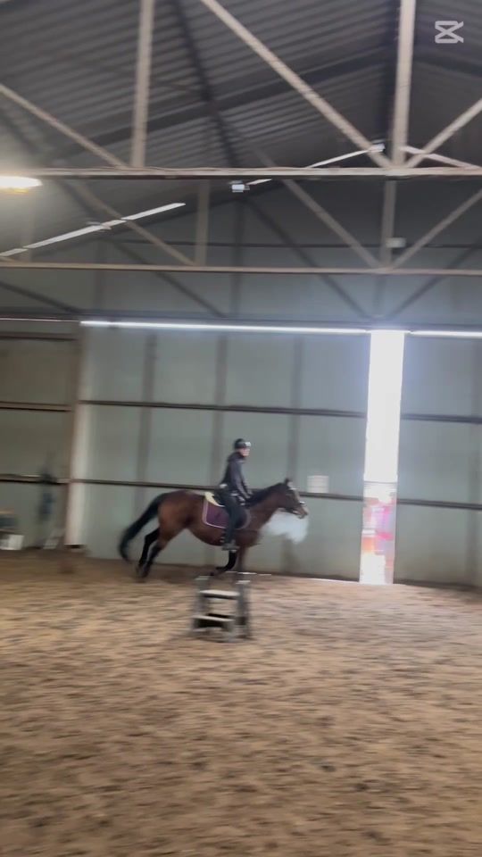 TikTok video thumbnail by natalia.nhorsess