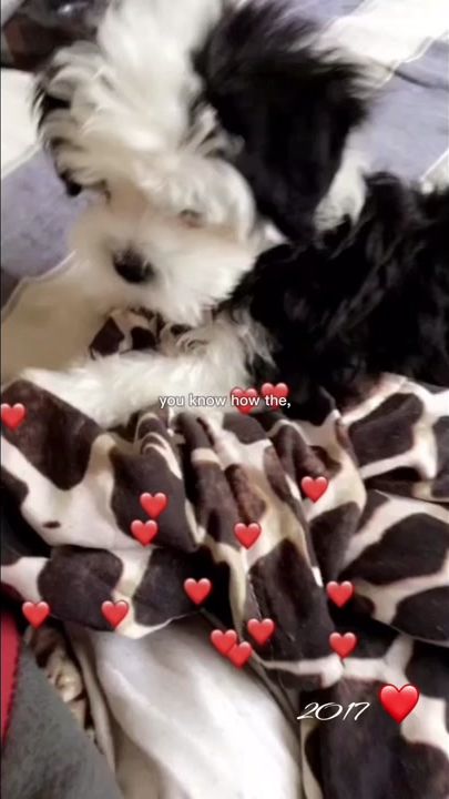 TikTok video thumbnail by ale__alexandraa