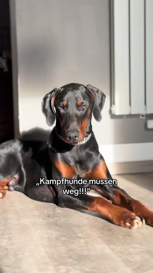TikTok video thumbnail by juli.reger