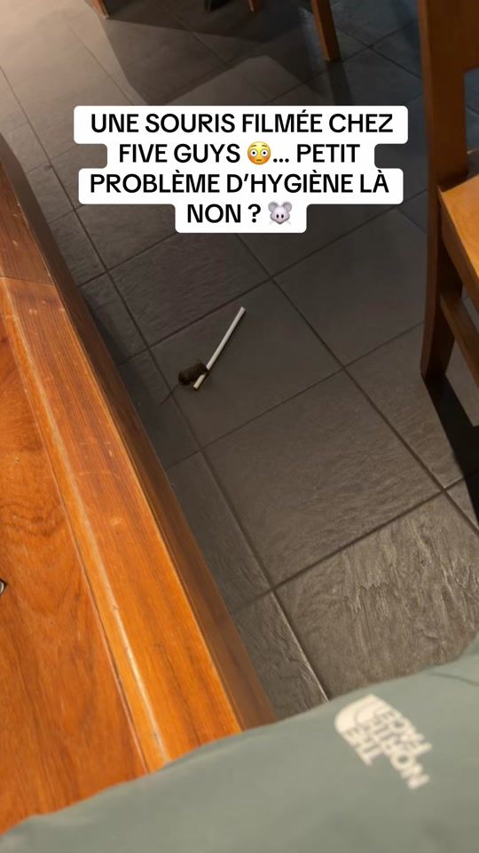 TikTok video thumbnail by le_napolitain