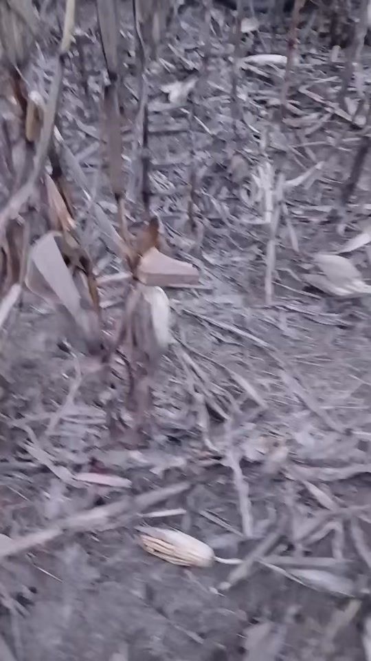 TikTok video thumbnail by ancaburada4