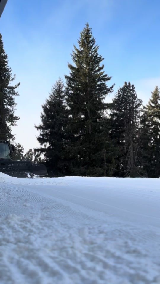 TikTok video thumbnail by georg_sbr
