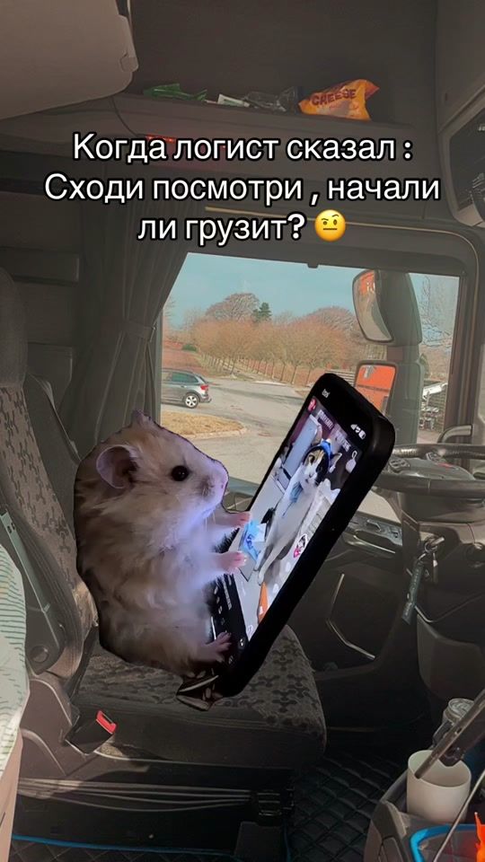 TikTok video thumbnail by dpmka