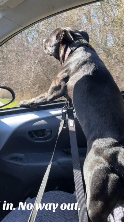 TikTok video thumbnail by valter.staffy