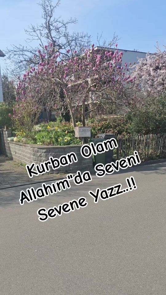 TikTok video thumbnail by su_el_nur