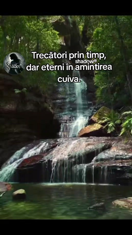 TikTok video thumbnail by anamaria.a11