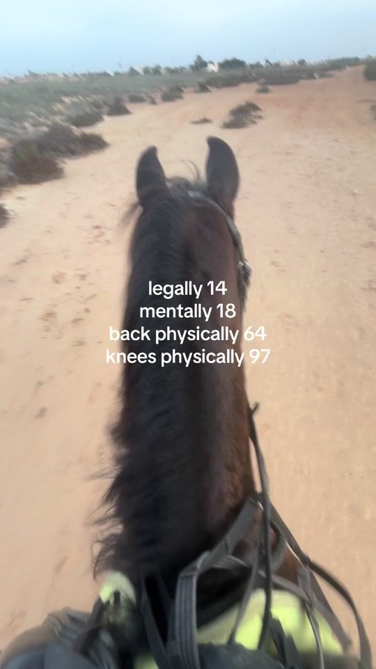 TikTok video thumbnail by bayonhacks