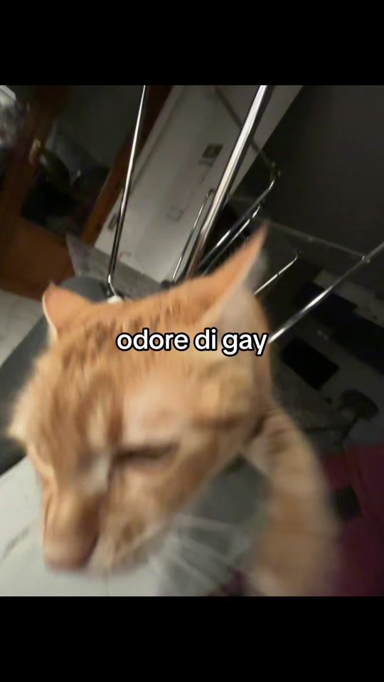 TikTok video thumbnail by qlf.teree_