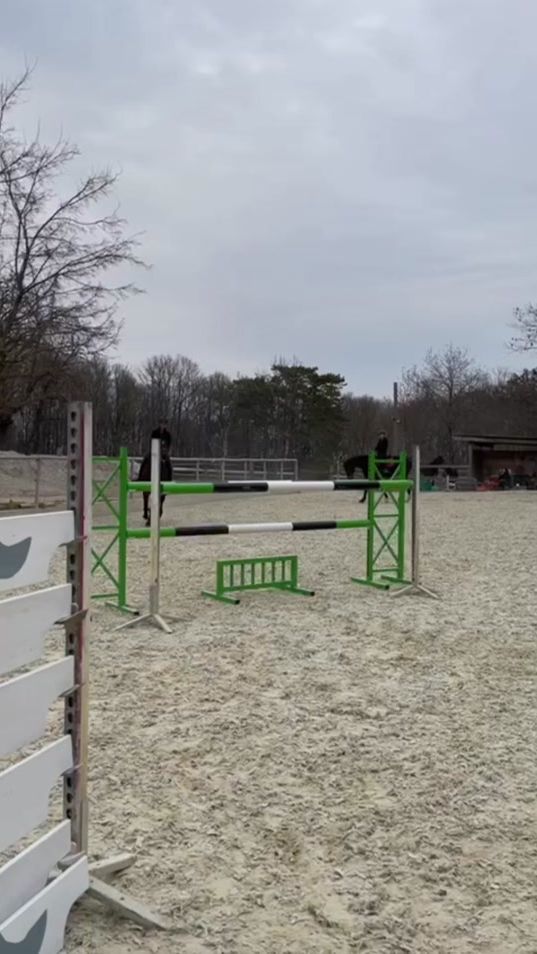 TikTok video thumbnail by adina.showjumping