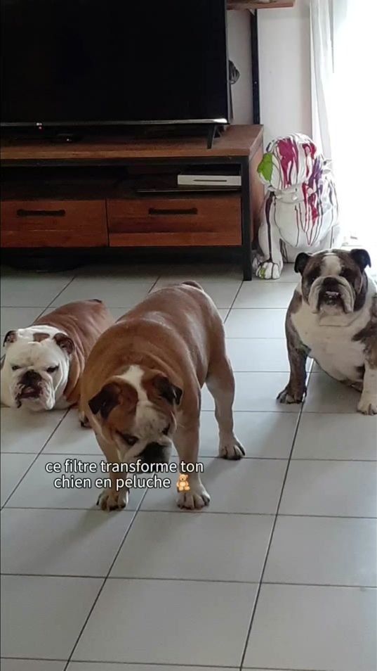 TikTok video thumbnail by oxozaboopippa