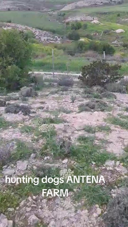 TikTok video thumbnail by nice.life44