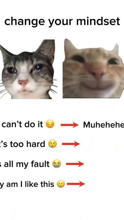 TikTok video thumbnail by catsbeiingcats