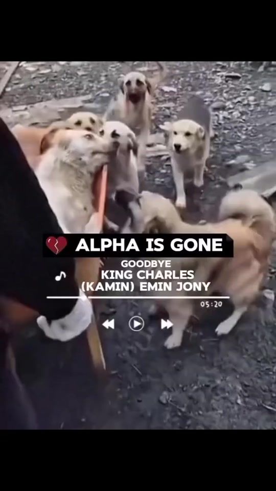 TikTok video thumbnail by cristianmarius62