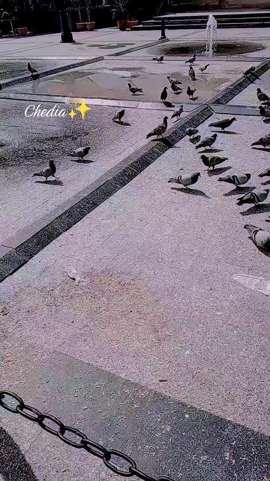 TikTok video thumbnail by chedia.bakhouch
