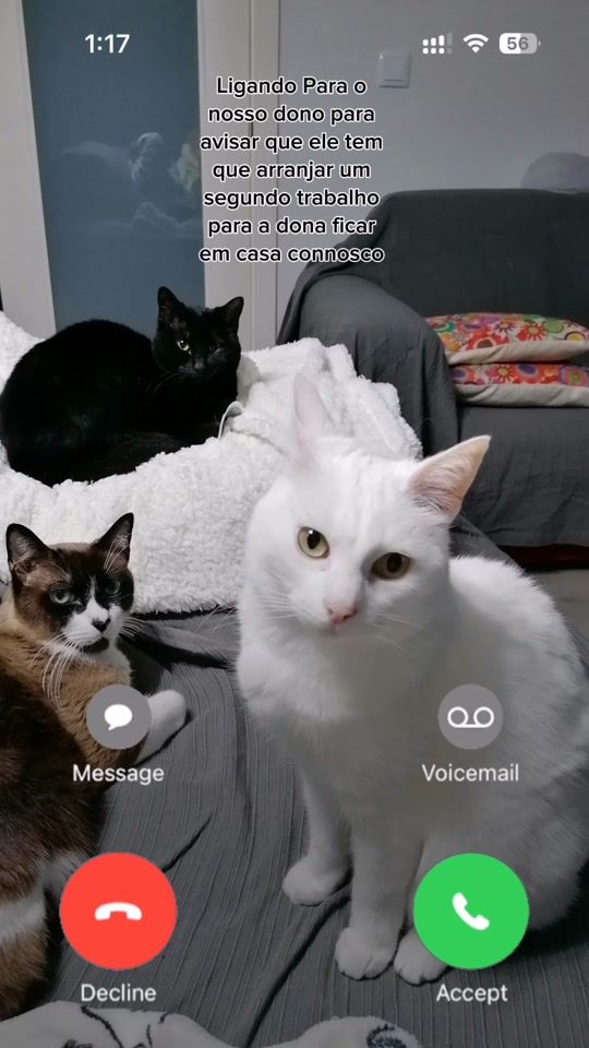 TikTok video thumbnail by marciaabrantes4