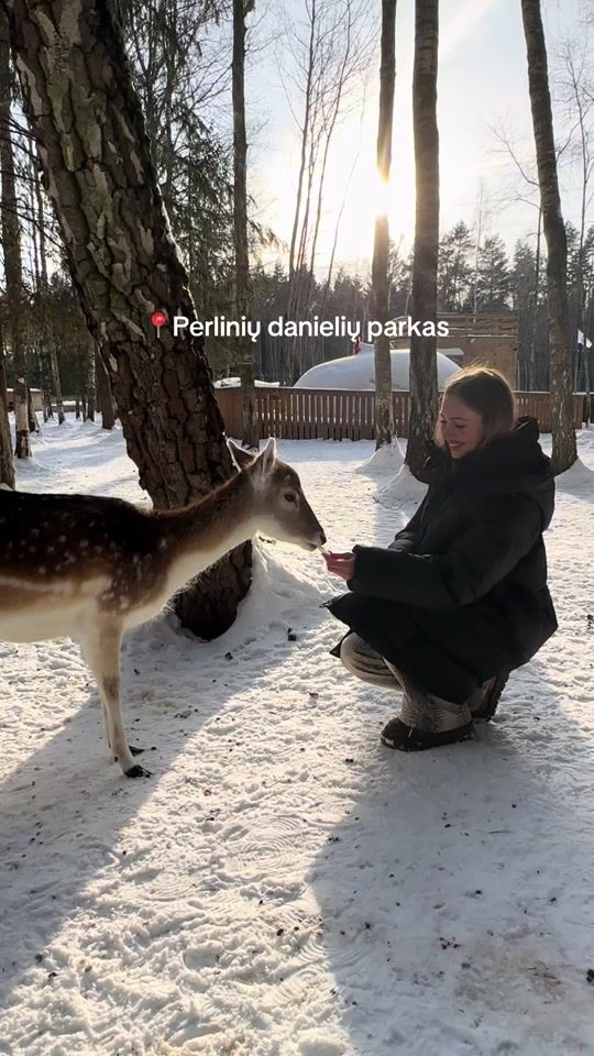 TikTok video thumbnail by simanaviciut3
