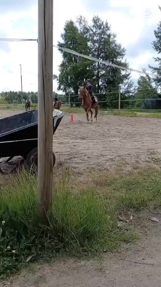 TikTok video thumbnail by ellu_42