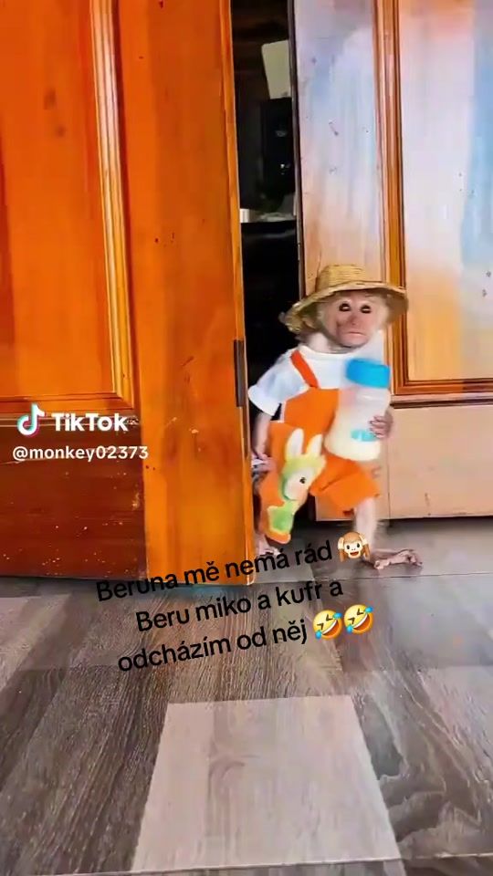 TikTok video thumbnail by majulka.majula