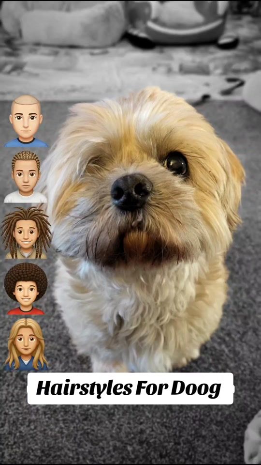 TikTok video thumbnail by weemadshazy13