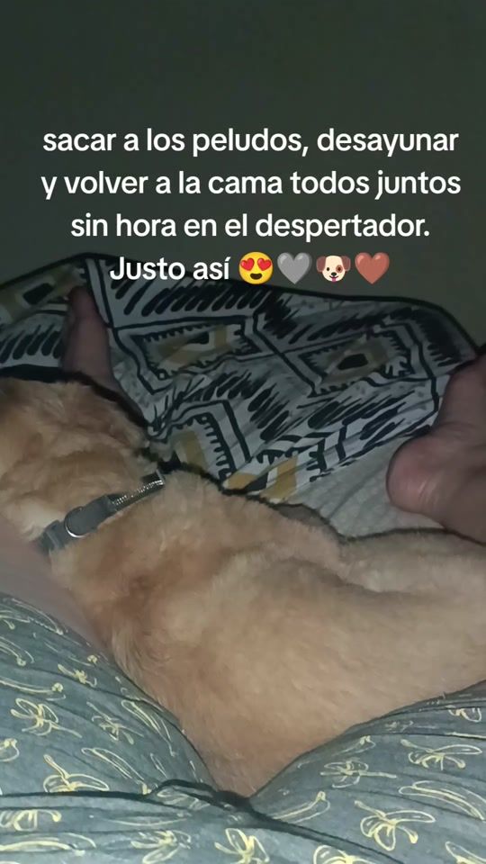 TikTok video thumbnail by bicho230405