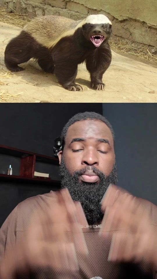 TikTok video thumbnail by diekksikkim