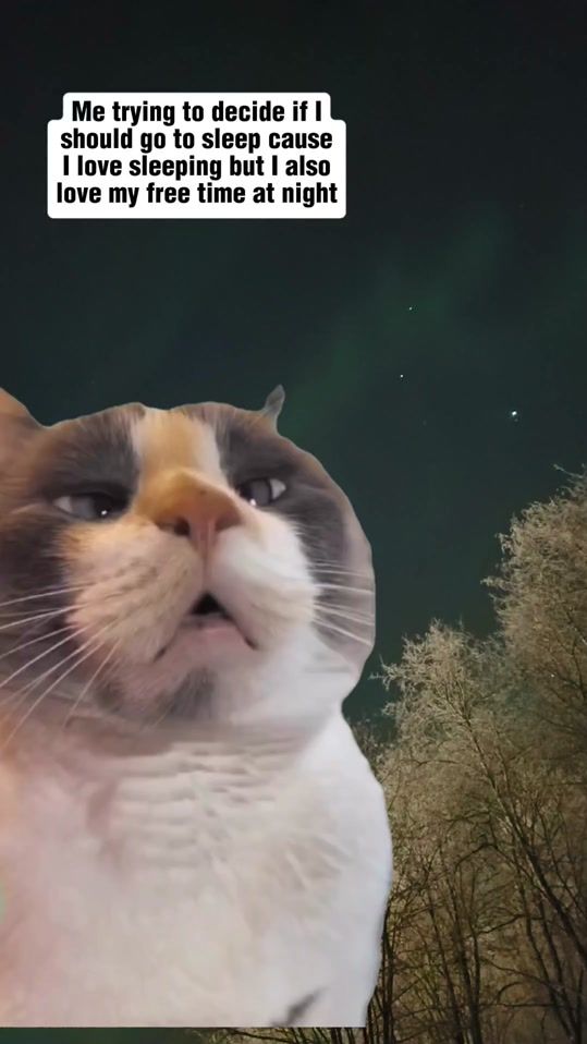 TikTok video thumbnail by darkhuntress79