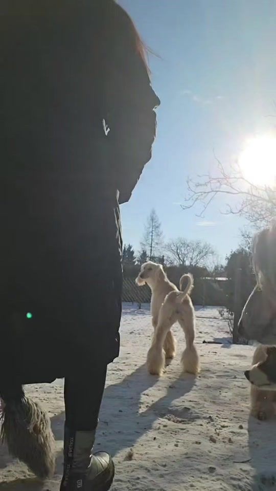 TikTok video thumbnail by fenrirfalka