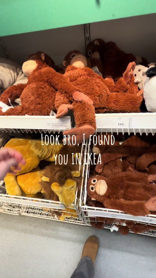 TikTok video thumbnail by ttv_byrbotten