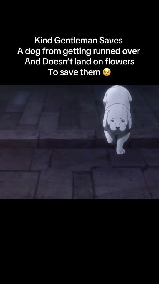 TikTok video thumbnail by vegitxympa5
